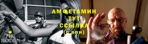 крисы Горняк