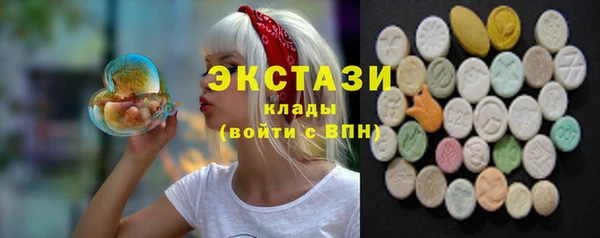 крисы Горняк