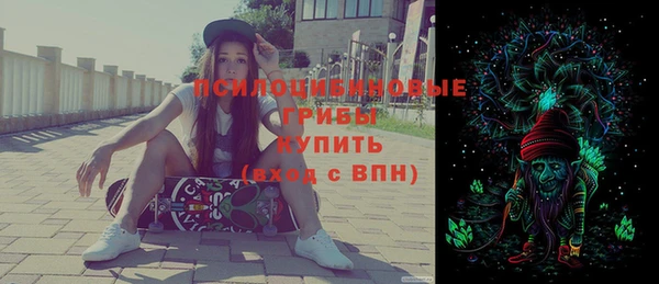 крисы Горняк
