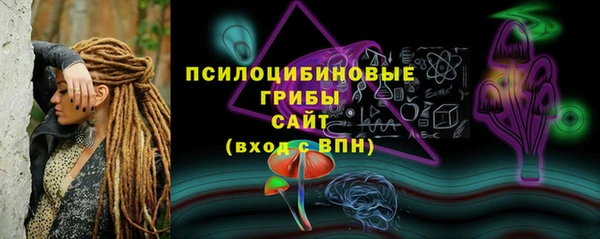 крисы Горняк