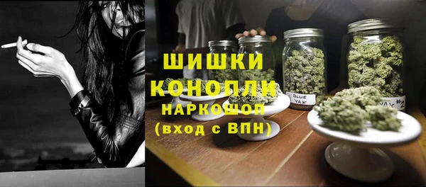 крисы Горняк