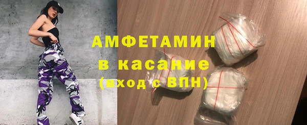 крисы Горняк