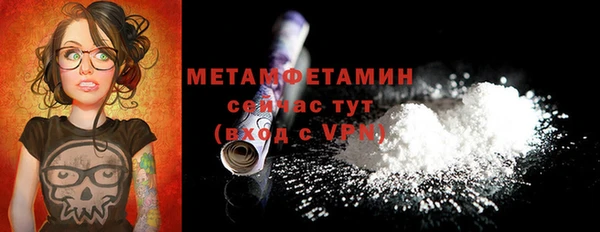 крисы Горняк
